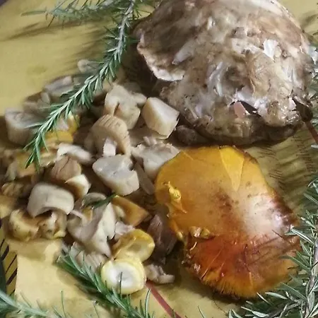 La Malva 호텔 3*